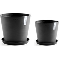 Set of 2 with saucer