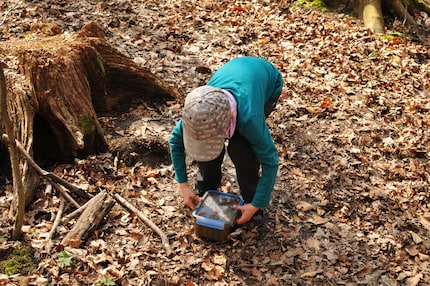 Because ticks like to settle on your head, it’s advisable for children to wear a cap.