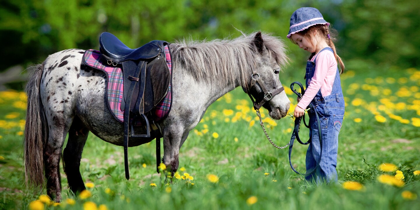 Das Leben ist kein Ponyhof – das Kinderzimmer aber schon!
