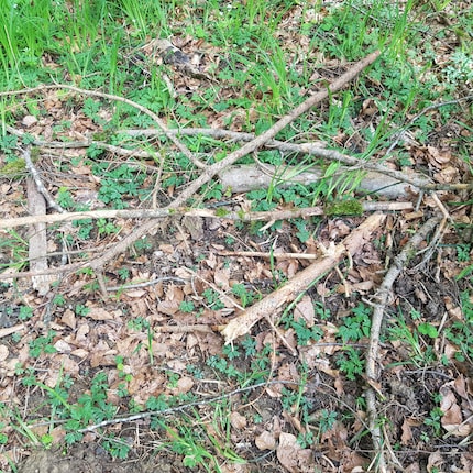 Totes Holz, das wie hier rumliegt, darf mit nach Hause genommen werden.