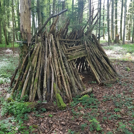 Diese Hütte habe ich mit meinen Kinder vor rund fünf Jahren gebaut.