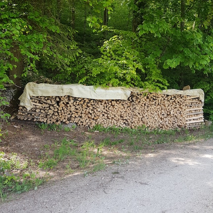 ...schön gestapelt: Zugeschnittenes Brennholz darf nicht mitgenommen werden.