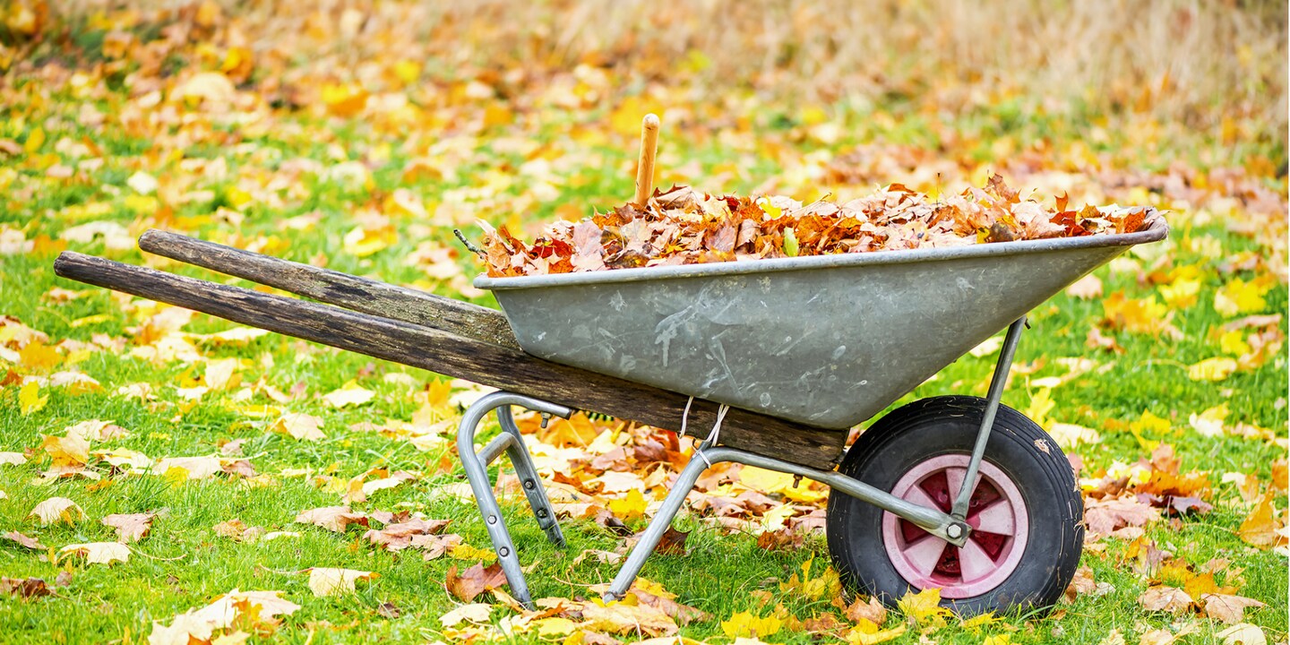 Gewappnet für den Herbst? Bereite deinen Garten vor!