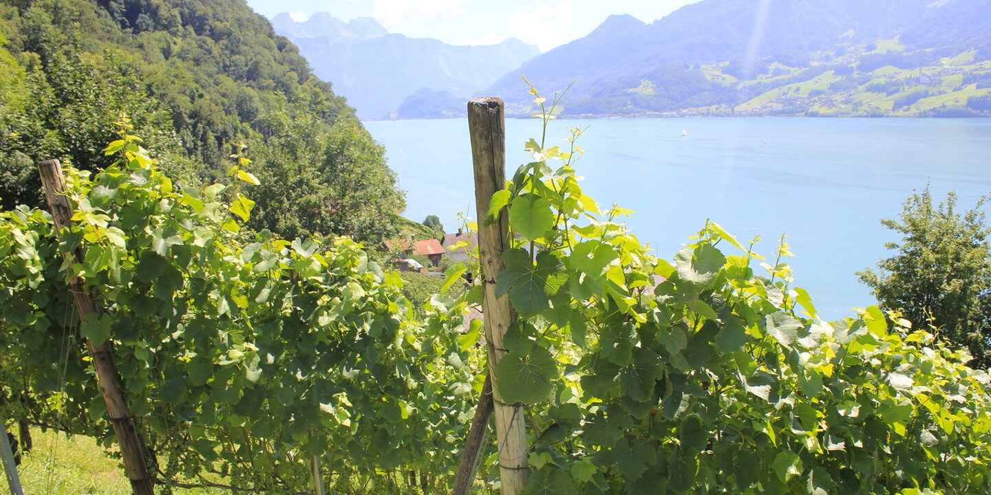 Blick auf die andere Seeseite.