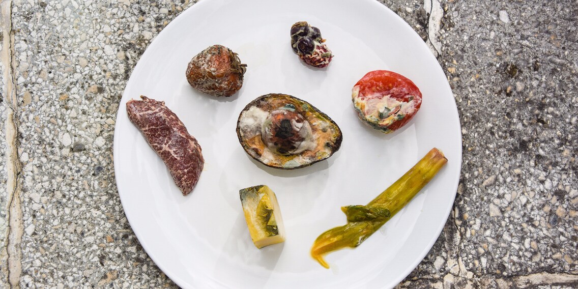 C'est à ça que ressemblent au bout de quatre semaines des aliments qui n'ont pas été mis sous vide.