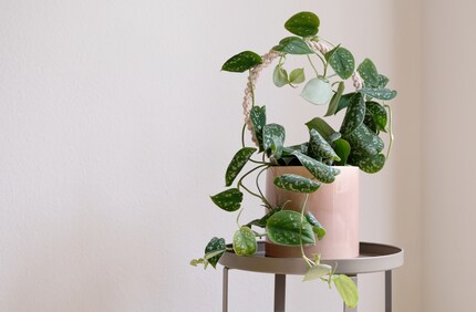 Schick im Strick: Die Efeutüte mit Boho-Stil-Makramee.