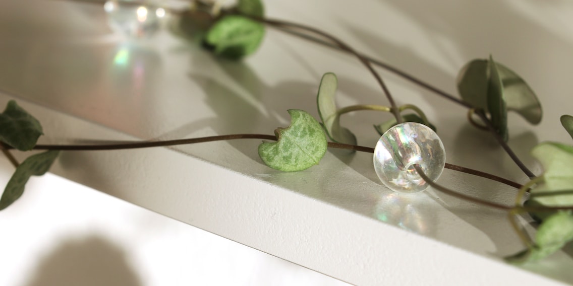 Plant Beading : la perle des tendances végétales Plant Beading : la perle des tendances végétales