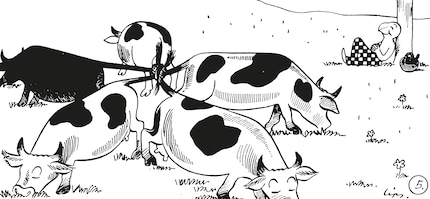1941 knüpfte Globi noch Kuhschwänze aneinander. Die Illustration wird heute so nicht mehr gedruckt.
