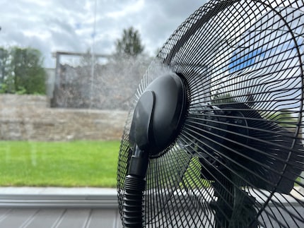 Une fine brume d'eau est diffusée dans la pièce par le ventilateur.