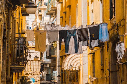 Come si può voler bandire qualcosa di così bello? Immagine: Samuel C, Unsplash