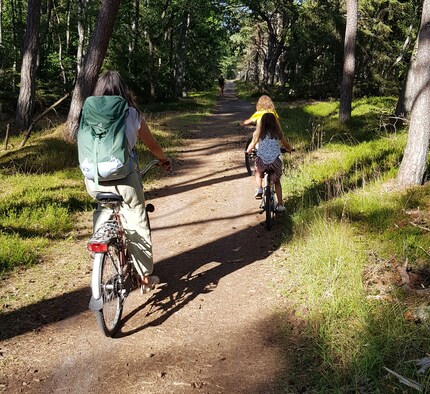 A family bike ride. The forest floor is so soft – you wouldn’t necessarily need to wear a helmet.