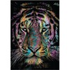 Eibert Visual Tiger Colours (45 x 65 cm)
