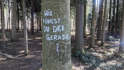 «How are you» (in German)? My friend the tree asks a clever question.