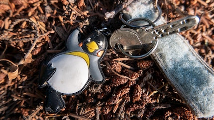 Un pinguino con un colpo di frusta è di scarso aiuto una volta che la chiave è sparita.