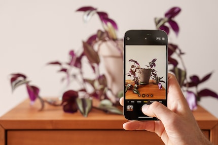 The camera of the latest iPhone is better than that of the predecessor, but it’s no huge leap.