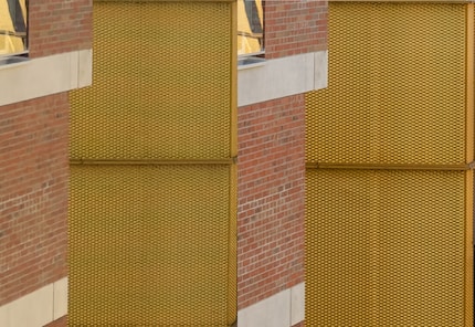 At high magnification, the advantages of the Sony A1 (right) over the iPhone 14 Pro (left) become visible.