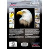 Harder & Steenbeck Eagle Wildlife Schablonen