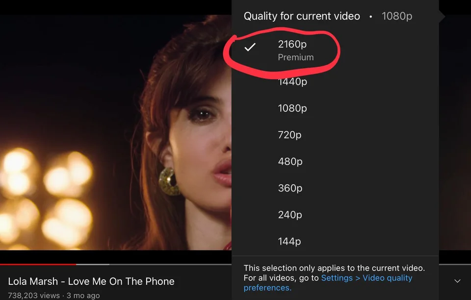 2160p ist nur mit einem Premium-Abo auswählbar. Quelle: Reddit / MCL_Malone