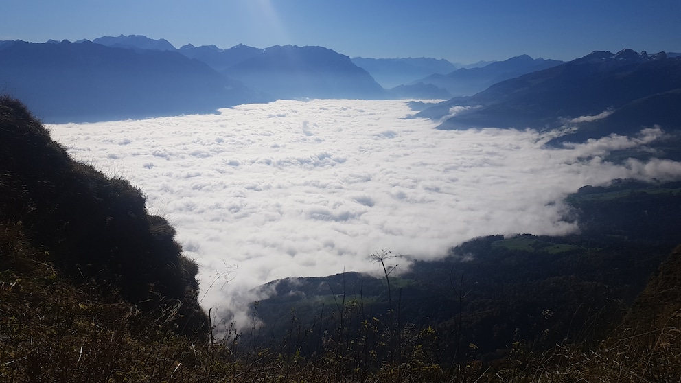 Über dem Nebel, muss die Freiheit wohl grenzenlos sein ...