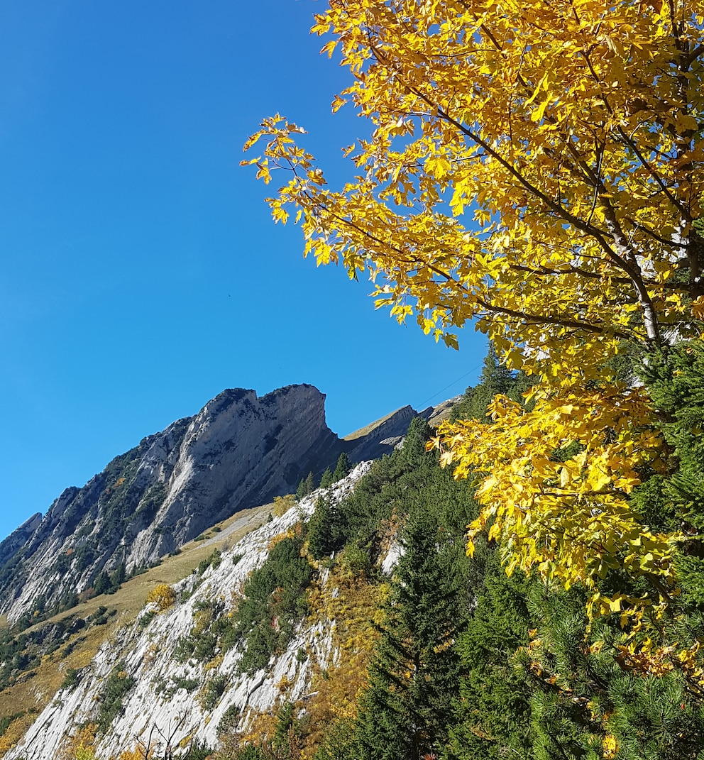 Der Herbst zeigt sich auf unserer Wandertour von seiner schönsten Seite.