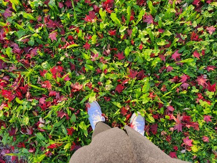 The Samsung Galaxy Z Flip 4 takes beautiful photos