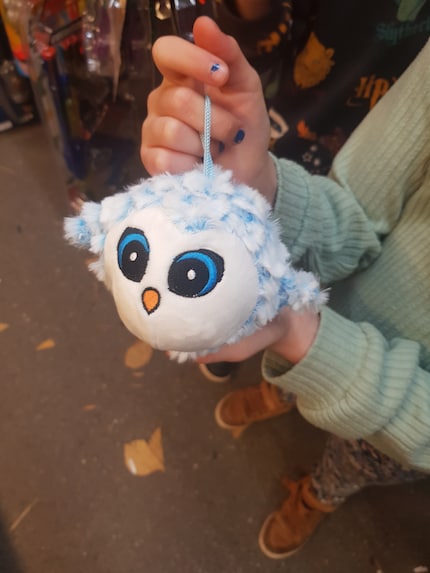 Cette petite peluche rentre tout juste dans le budget.