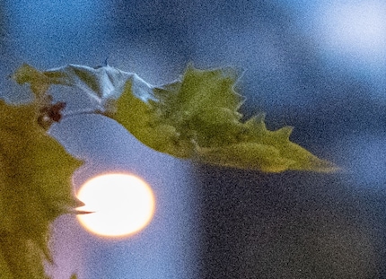 12800 ISO, dettaglio