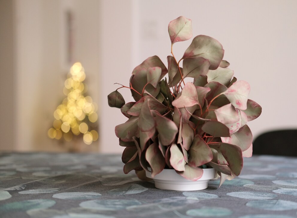 It’s suitable for fresh as well as for dried flowers.