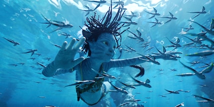 Il fatto che nulla in questa foto sia reale, nemmeno la superficie dell'acqua, non riesce ad entrarmi in testa.