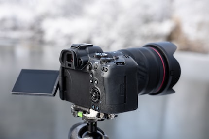 Il corpo della nuova Canon è rotondo in tutti i punti giusti. Mi si addice perfettamente.