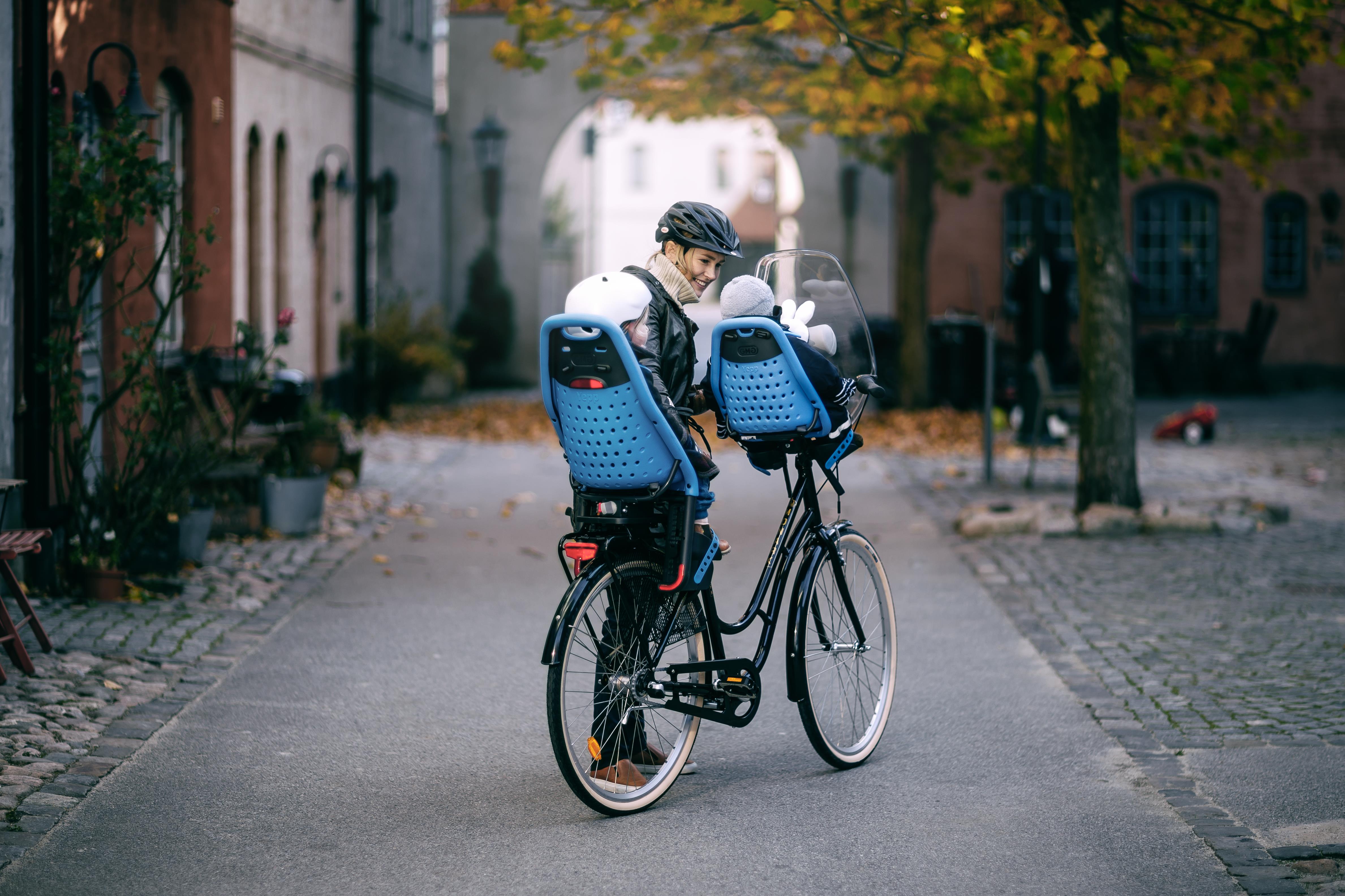 Thule yepp top maxi seat