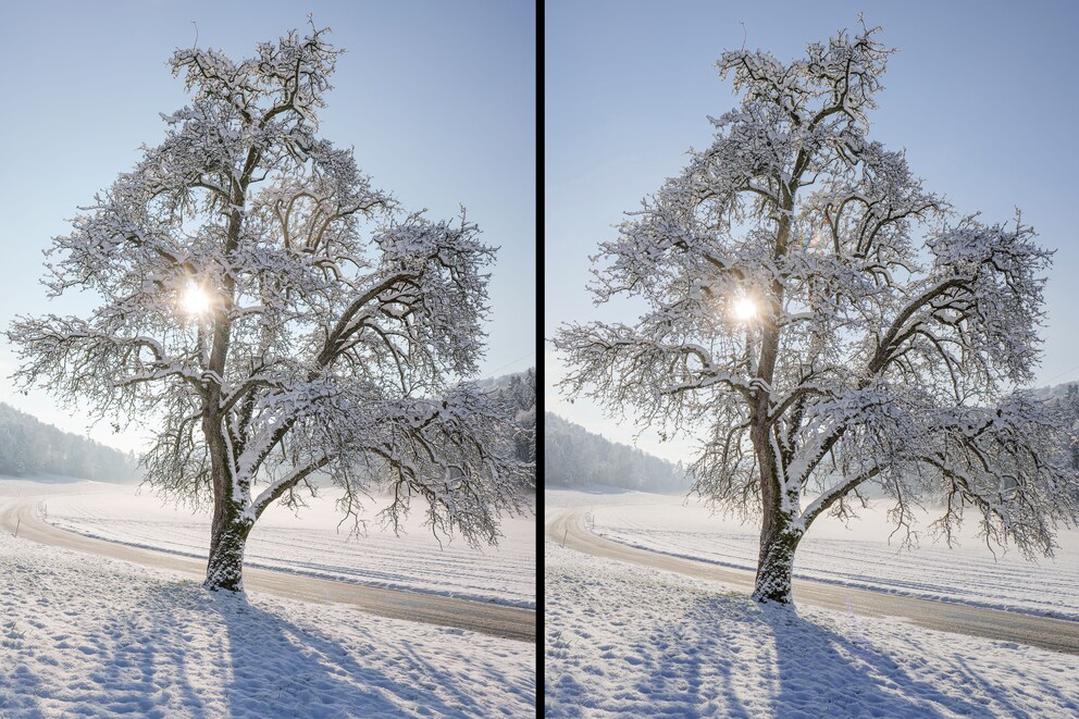 Die Bilder aus der S5II (links) sehen genau gleich aus wie aus der alten S5 (rechts). Weil die RAWs zum Testzeitpunkt noch nicht von Konvertern unterstützt werden, handelt es sich hier um JPGs.