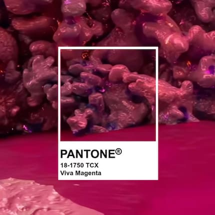Image : Instagram @pantone