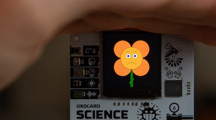 Capteur en partie recouvert par ma main : la plante est malheureuse. 