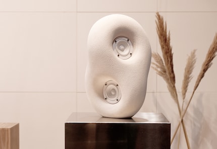 Dans le design «Acoustic Sculpture», Transparent combine des formes organiques et géométriques pour créer une enceinte sculpturale.