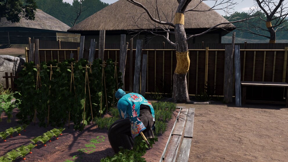 Nella casa di campagna di Ryōma posso coltivare ortaggi, raccogliere nuove decorazioni per la mia tenuta o semplicemente lasciar vagare la mente.