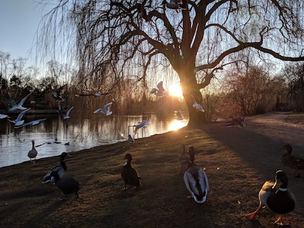 Alors que le soleil se couche lentement, je vais me promener au bord de l’eau et profite des derniers rayons de soleil.
