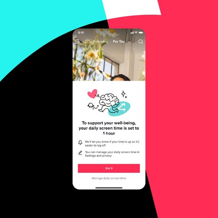 This is what the screen that warns you about too much TikTok time will look like in future.