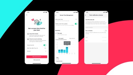 More information on usage time and more options for setting it - that's what TikTok promises for the coming weeks.
