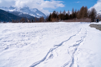 Immagine: Oliver Fischer