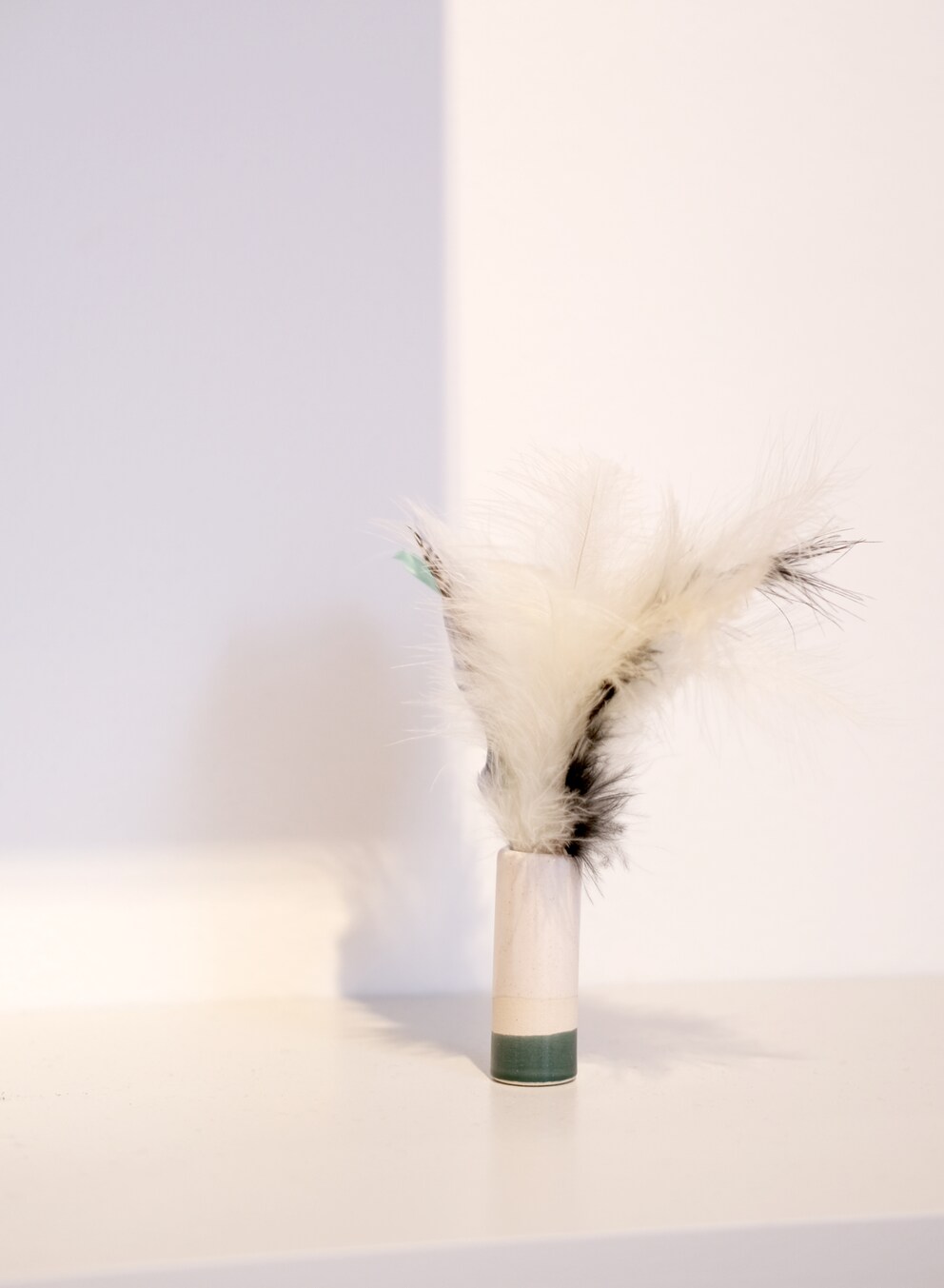 Feathers enable the finest touches, which can create a pleasant feeling.