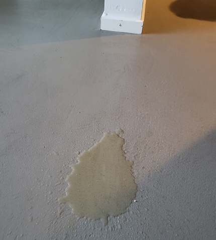 Quand on a besoin de lui, on peut compter sur mon fils. Comme demandé, il a uriné dans le salon.