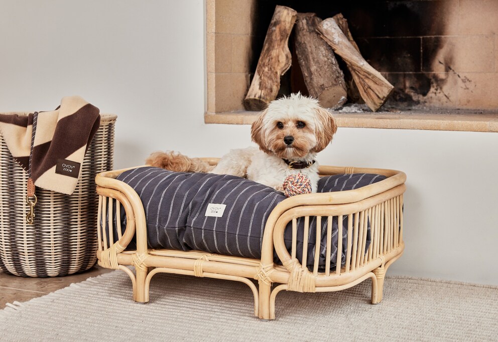 La cuccia in rattan «Otto» del marchio danese Oyoy è completata dal cuscino «Kyoto».