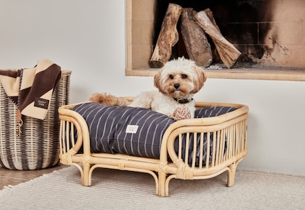 Das Rattansofa «Otto» von der dänischen Marke Oyoy wird mit dem Kissen «Kyoto» komplett.