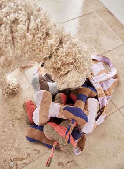 Das Hundespielzeug «Ashi Dog Toy» von Oyoy sieht im Park oder im Haus toll aus.