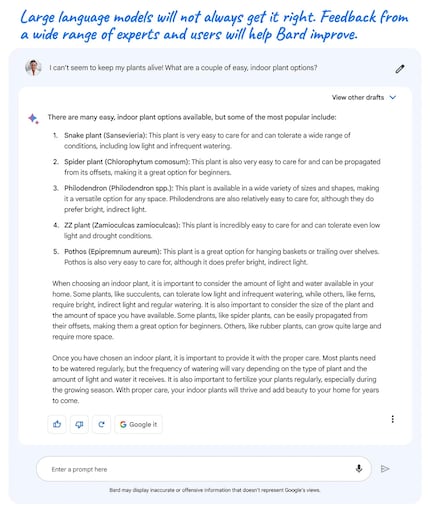 Dans un exemple, Google montre que Bard peut faire des erreurs. Ici, il se trompe sur le nom scientifique de la plante ZZ - le nom correct serait Zamioculcas zamiifolia, et non Zamioculcas zamioculcas.