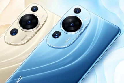 Vedo un koala sorpreso nel modulo della fotocamera del P60 Art.