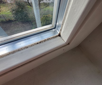 Dieci anni fa, le fughe di stucco erano completamente bianche.