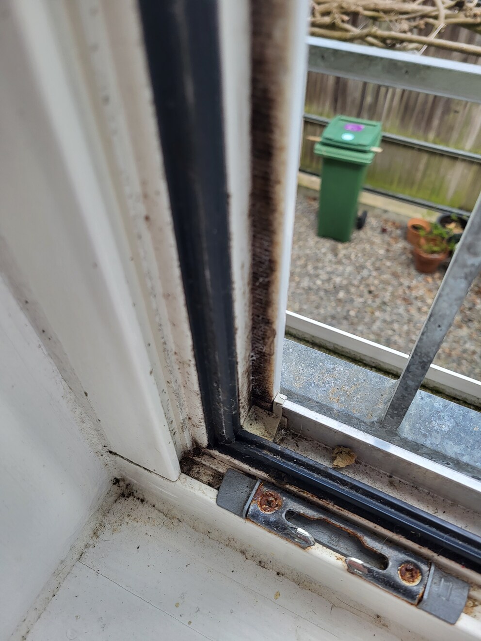 Zeigt sich erst beim Öffnen respektive Runterklappen: Der Schimmel im Fensterrahmen.
