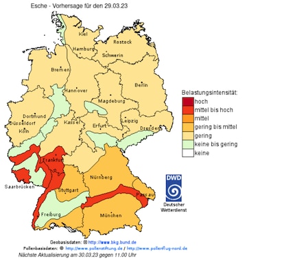 Le service météorologique allemand publie des données quotidiennes sur le pollen pour différents déclencheurs du rhume des foins.